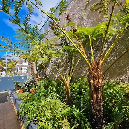 Holiday home Casa Sabina *